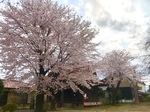 トモカル『楽しい手相塾』も笑顔満開🌸