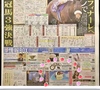 スポニチ掲載!