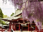 5月のスケジュール