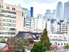新宿クラス 手相アドバイザーおめでとう!