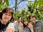 さくらんぼ狩り🍒