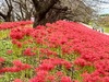 早くも10月