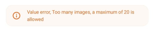 Value error, Too many images, a maximum of 20 is allowed