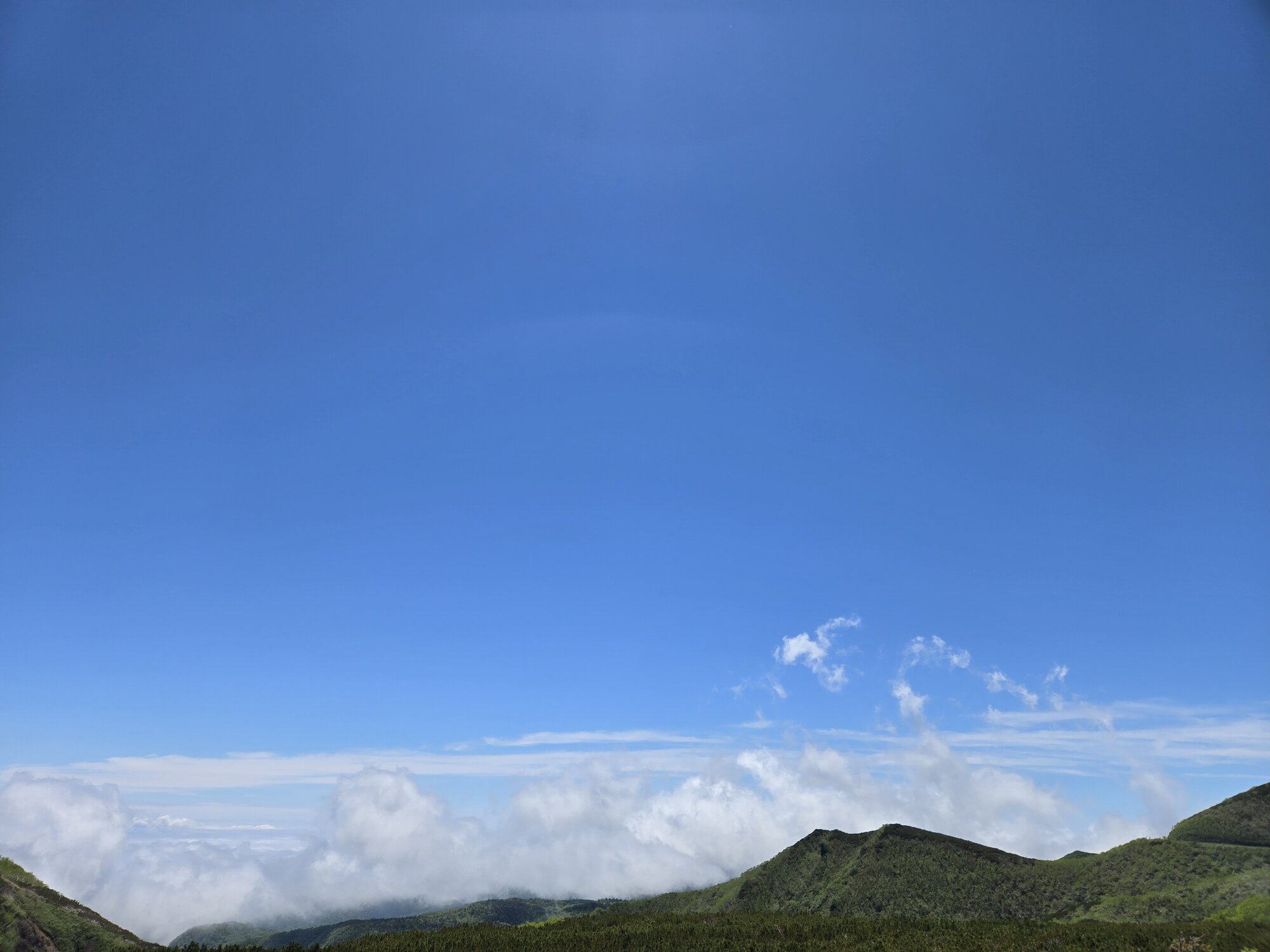 展望台から見る景色