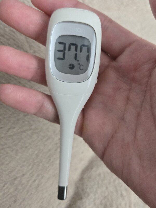 37.7℃