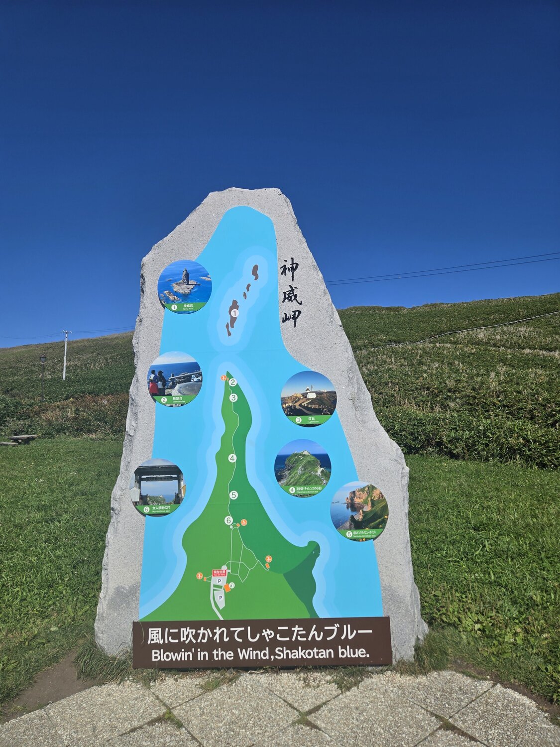 95625c28-a418-4186-98d9-f9b4bd218a37-1_all_10148.jpg