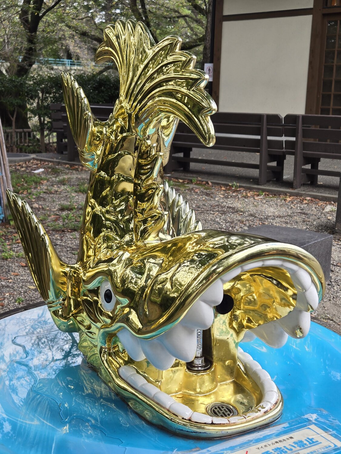名城 金鯱（こ）水