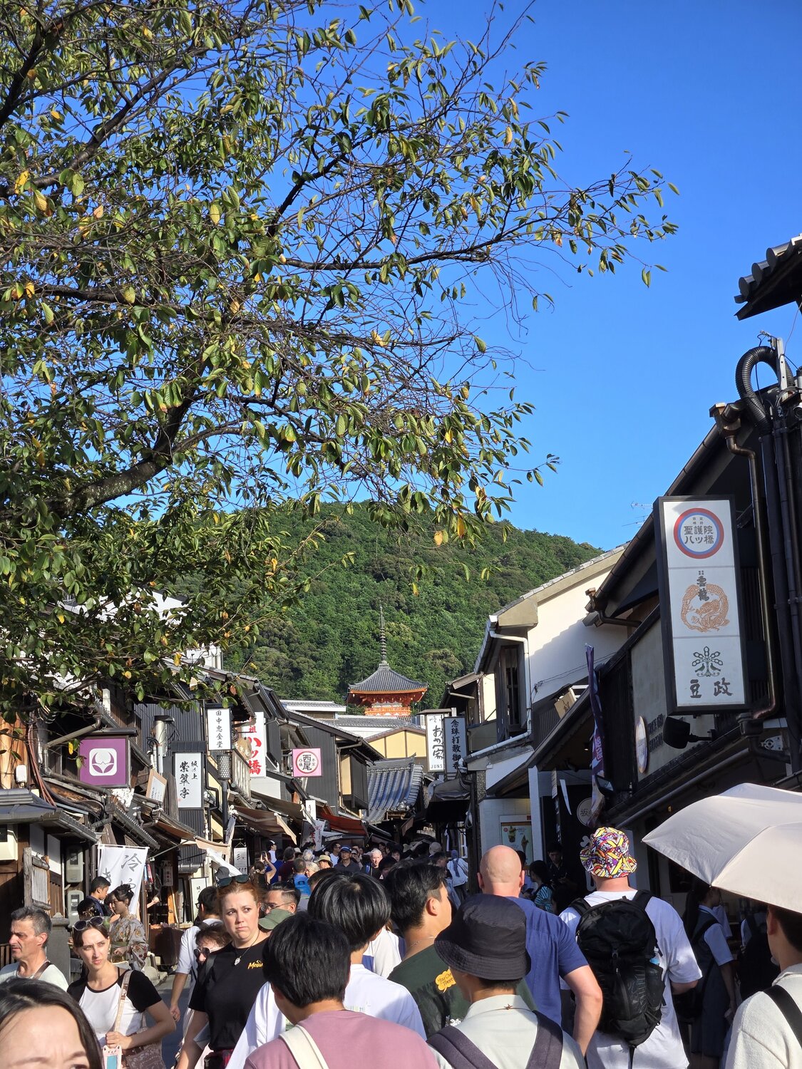 清水寺に行く前の道中