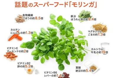 モリンガの栄養素