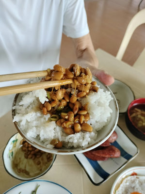 モリンガパウダーを納豆に入れています